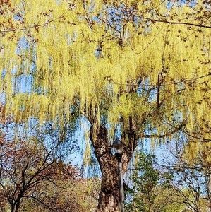 Meet your Posher, Suzanne